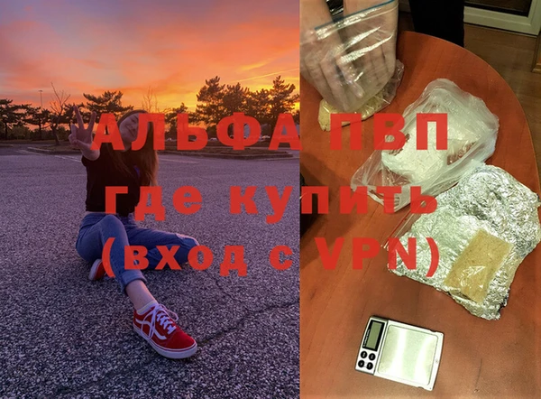 PSILOCYBIN Волоколамск