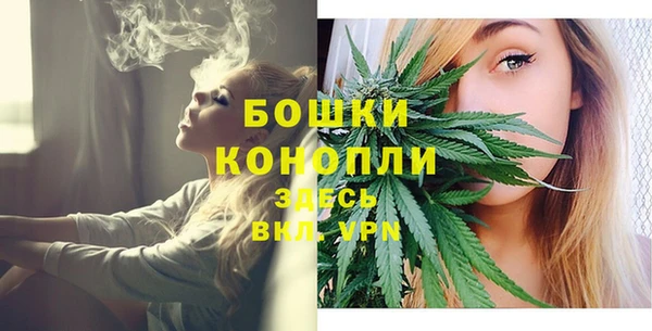 mdpv Володарск