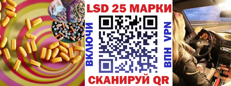 где можно купить наркотик  Злынка  Лсд 25 экстази ecstasy 